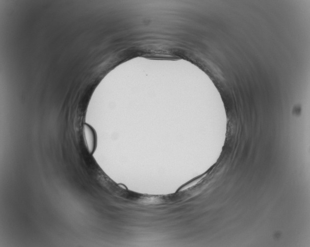 X0000116260141201001111001