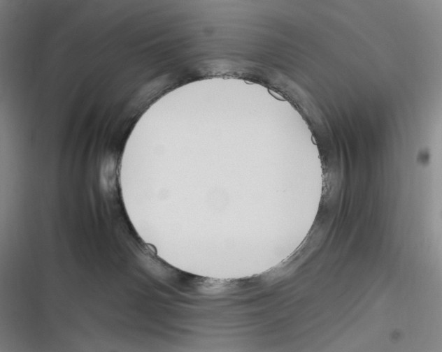 X0000116260142201001111001