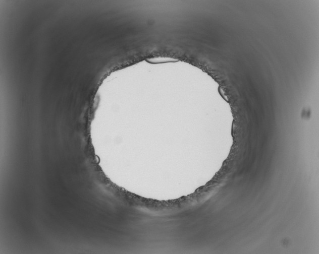 X0000116260144201001111001