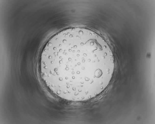 X0000116260145201001111000