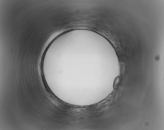 X0000116260147201001111000