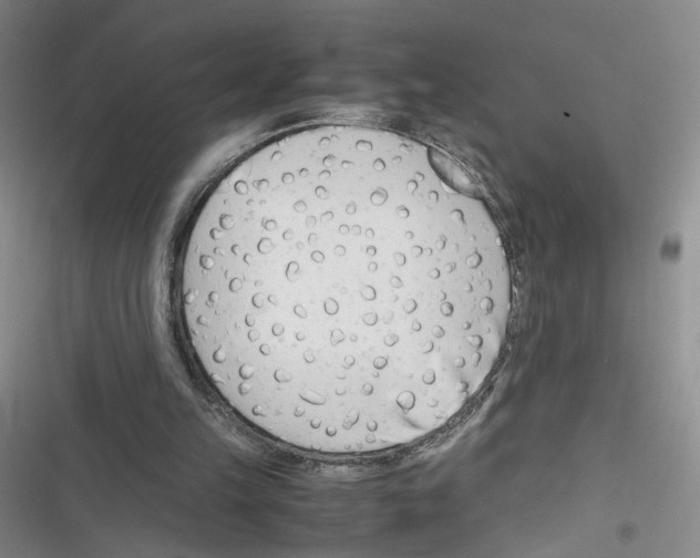 X0000116260149201001111001