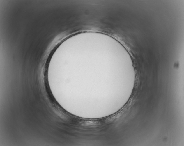 X0000116260151201001111001