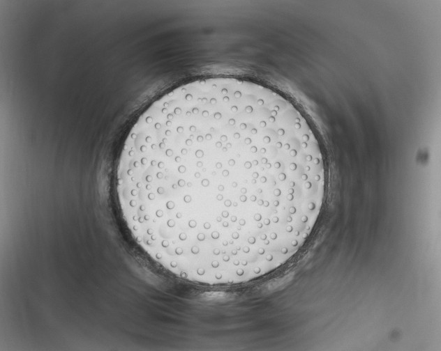 X0000116260153201001111001