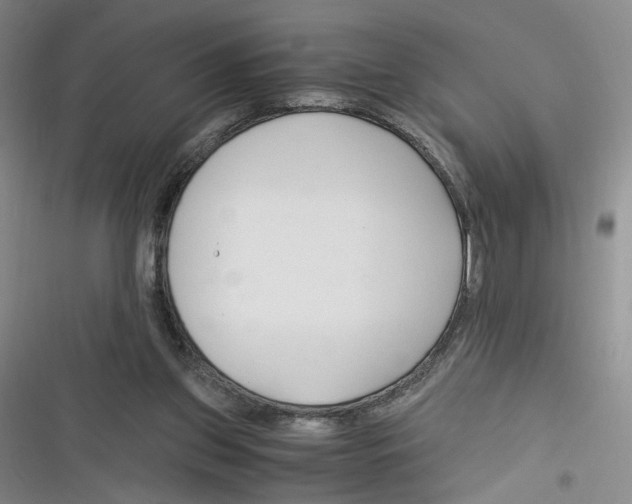 X0000116260157201001111001