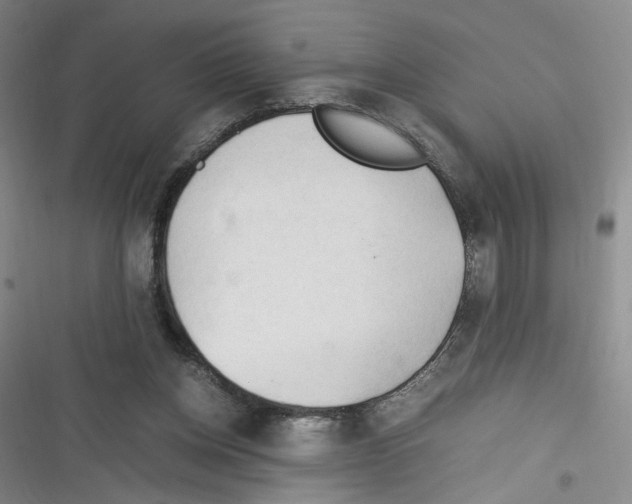 X0000116260158201001111001