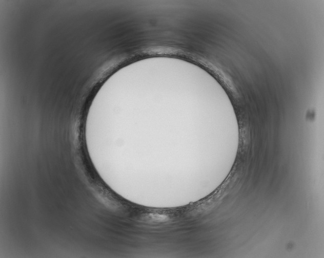 X0000116260159201001111001