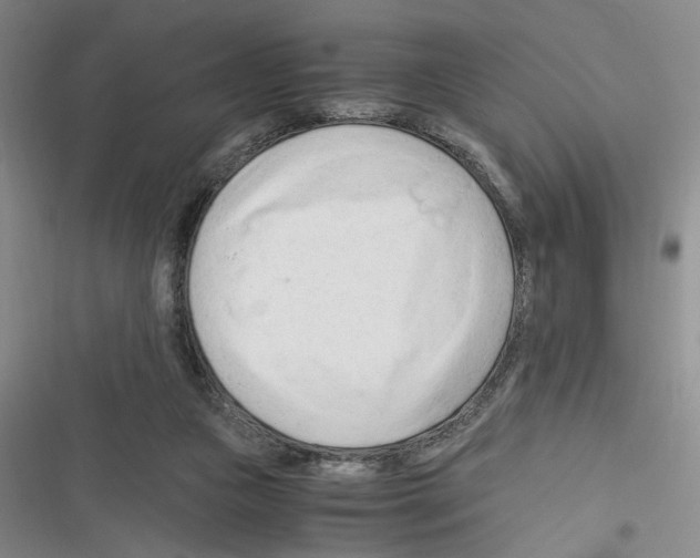 X0000116260161201001111001
