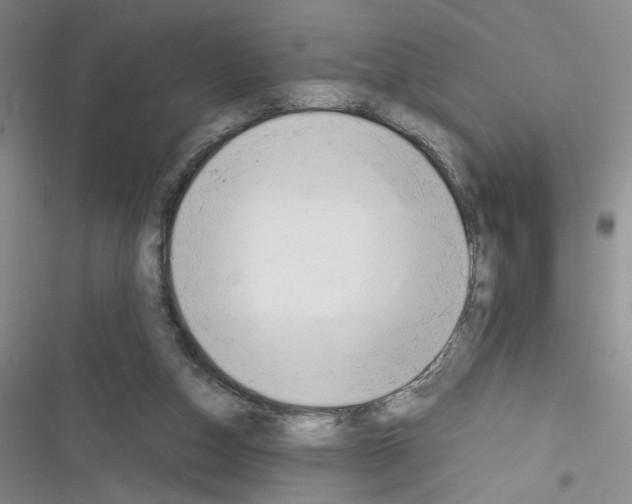 X0000116260162201001111001