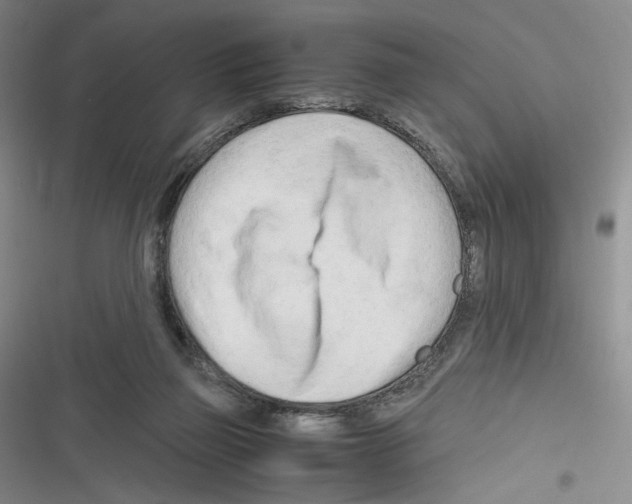 X0000116260165201001111001