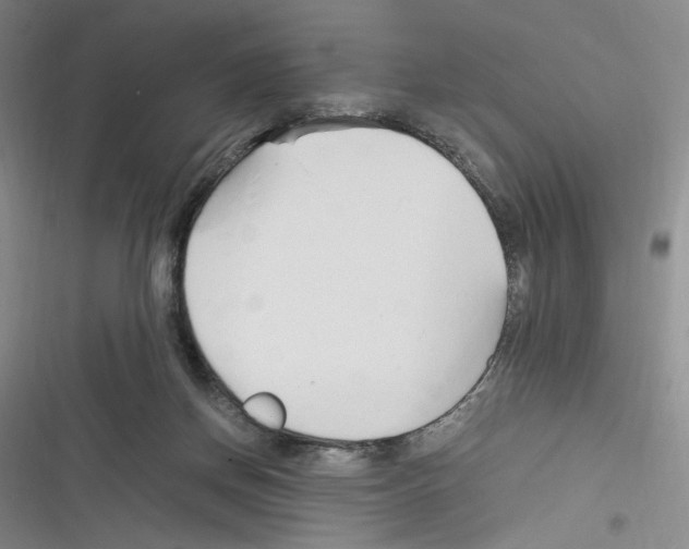 X0000116260166201001111001