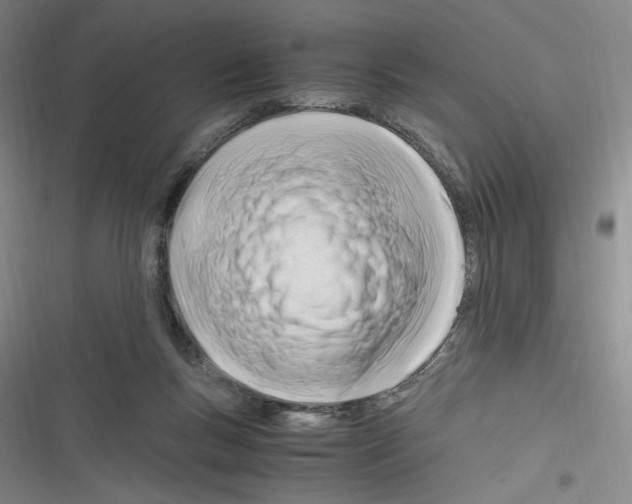 X0000116260167201001111001
