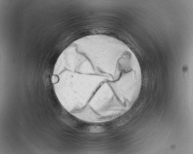 X0000116260169201001111001