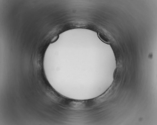 X0000116260170201001111001