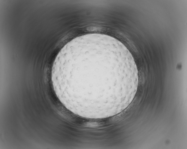X0000116260171201001111001