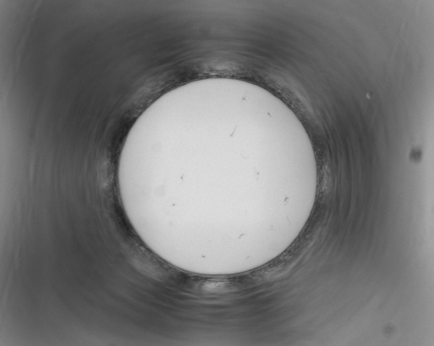 X0000116260173201001111001