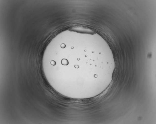 X0000116260174201001111001