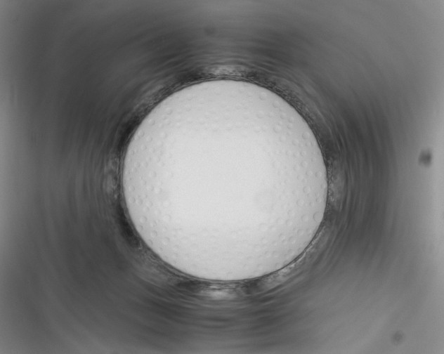 X0000116260175201001111001