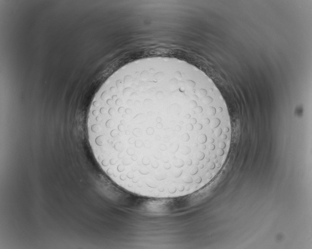 X0000116260178201001111001