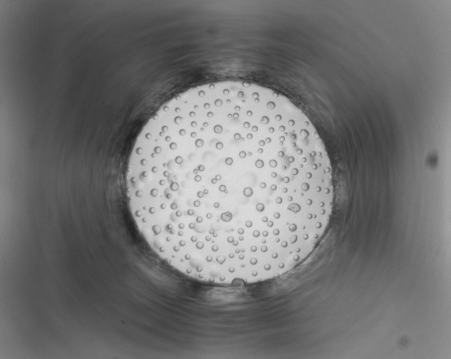 X0000116260179201001111001