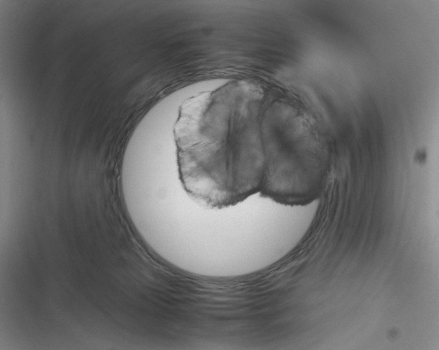 X0000116260181201001111001