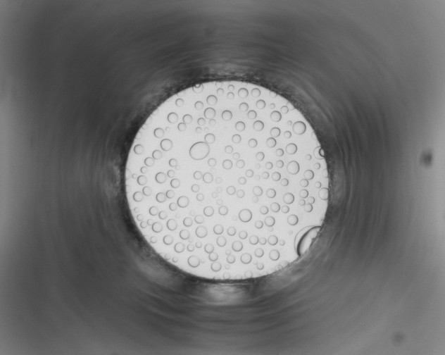 X0000116260183201001111001