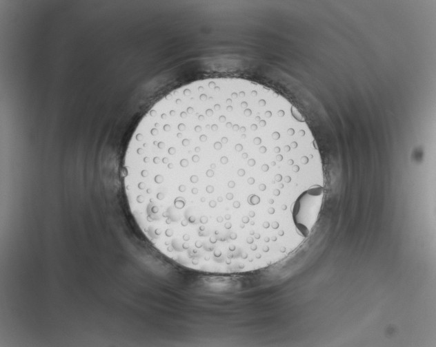 X0000116260187201001111001