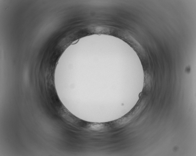 X0000116260189201001111001
