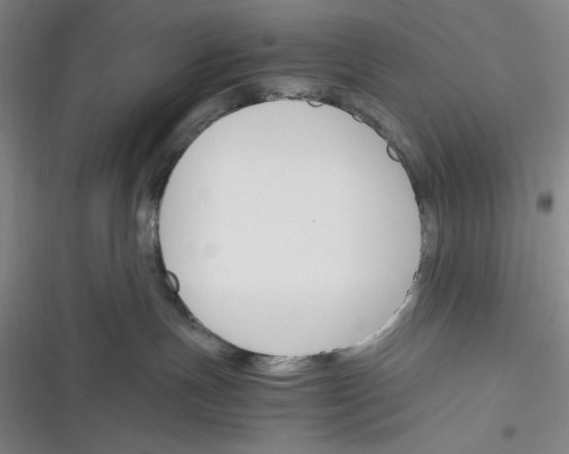 X0000116260191201001111001