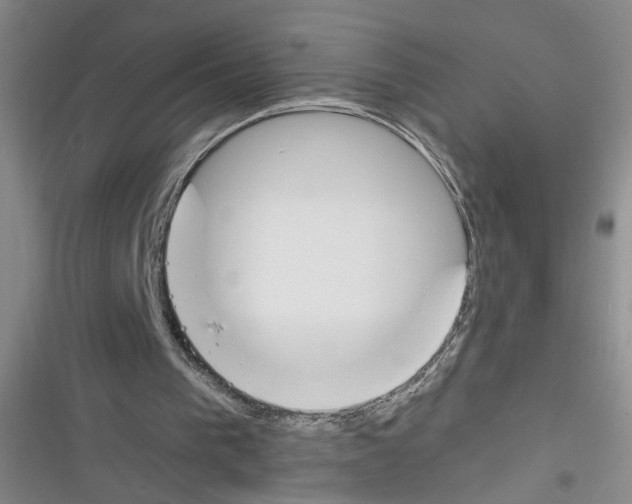 X0000116260193201001111000