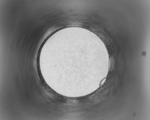 X0000116260195201001111000