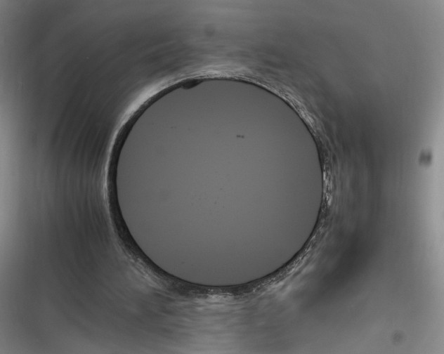 X0000116260196201001111000