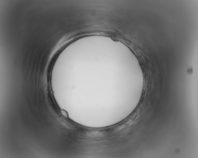 X0000116260198201001111000
