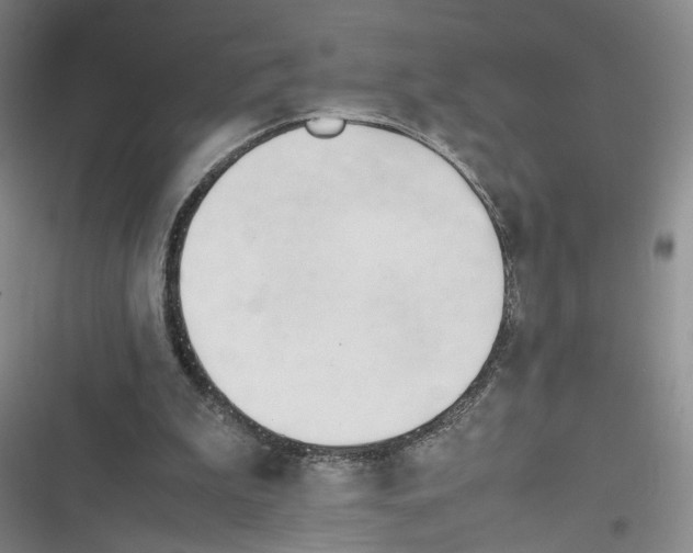 X0000116260199201001111000