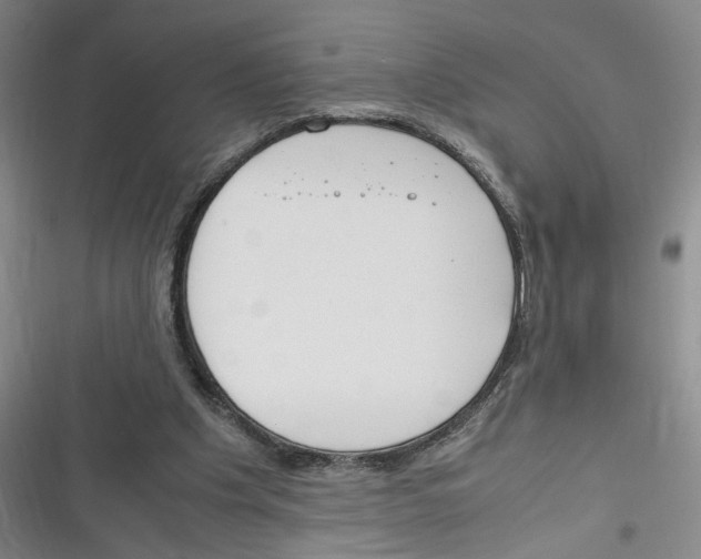 X0000116260201201001111000