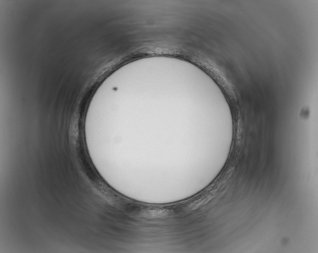 X0000116260202201001111000