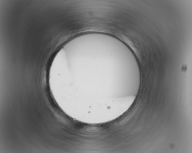 X0000116260205201001111000