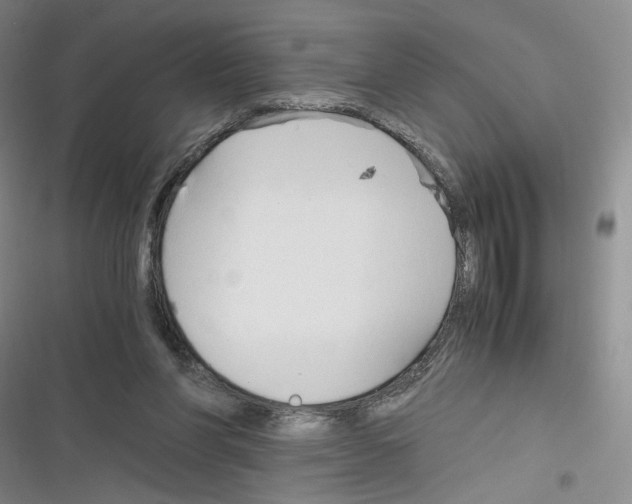 X0000116260206201001111000