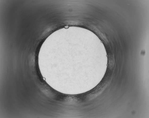 X0000116260207201001111000
