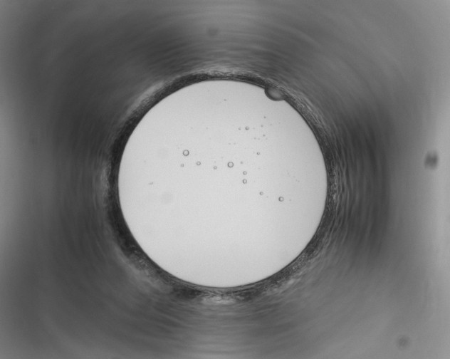 X0000116260208201001111000