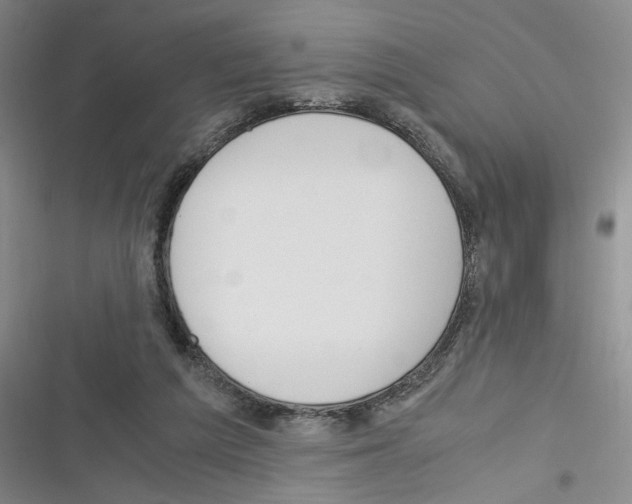 X0000116260209201001111000