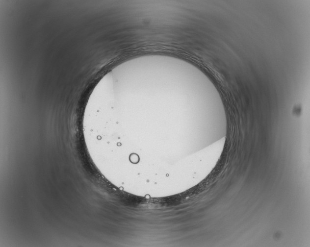 X0000116260211201001111000