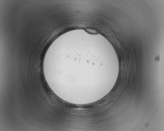 X0000116260212201001111000