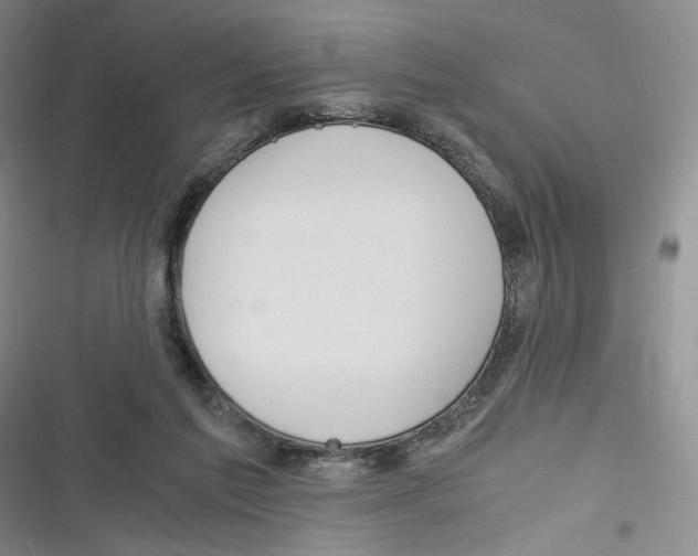 X0000116260213201001111000