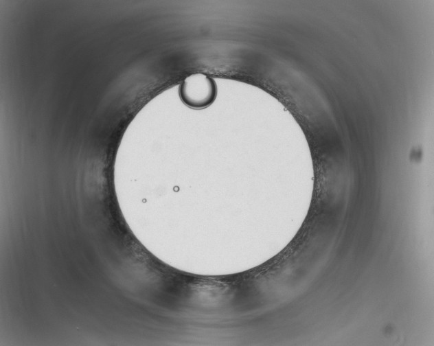 X0000116260215201001111000