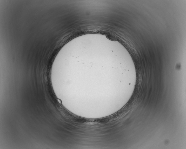 X0000116260216201001111000