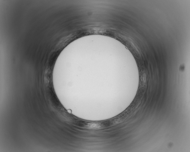 X0000116260218201001111000