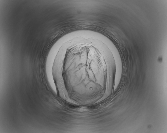 X0000116260219201001111000
