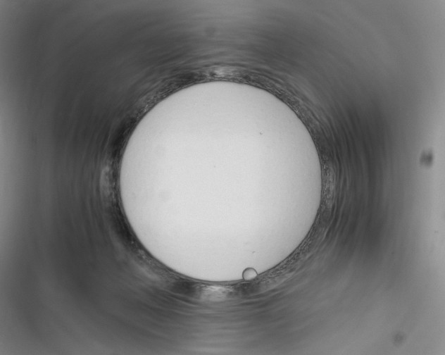 X0000116260222201001111000