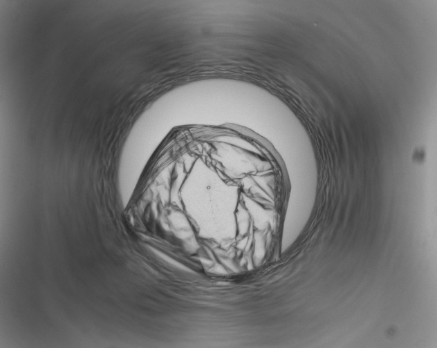 X0000116260223201001111000
